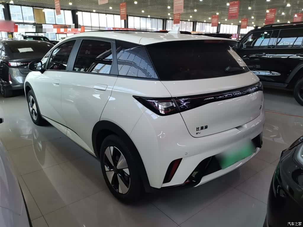 BYD Dolphin, 2024 все фото