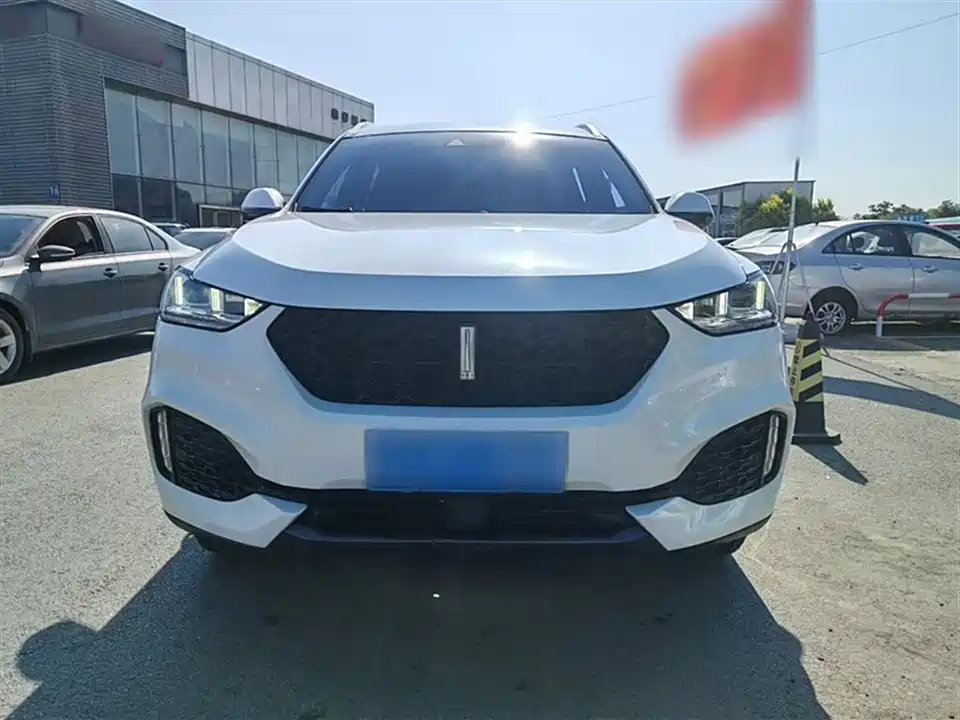 Weipai VV6