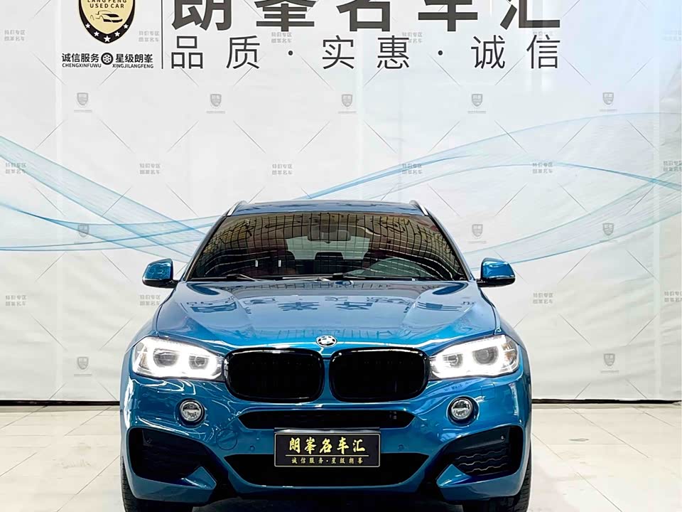 BMW X6