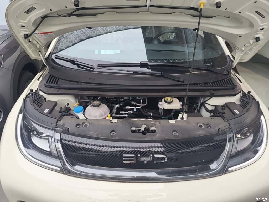BYD Dolphin, 2026 20