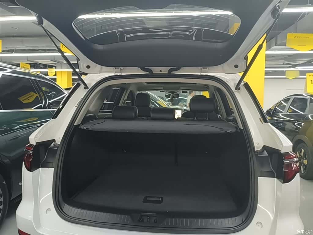 BYD Song, 2020 19