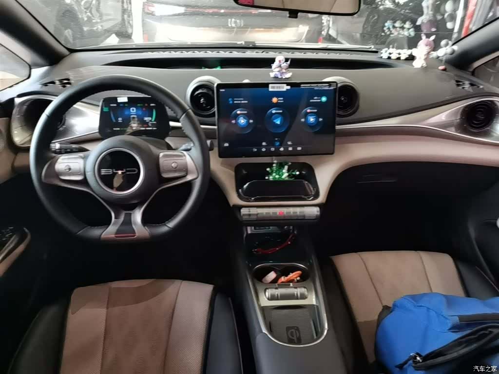 BYD Dolphin, 2024 10