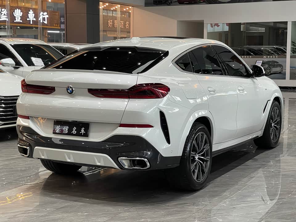BMW X6