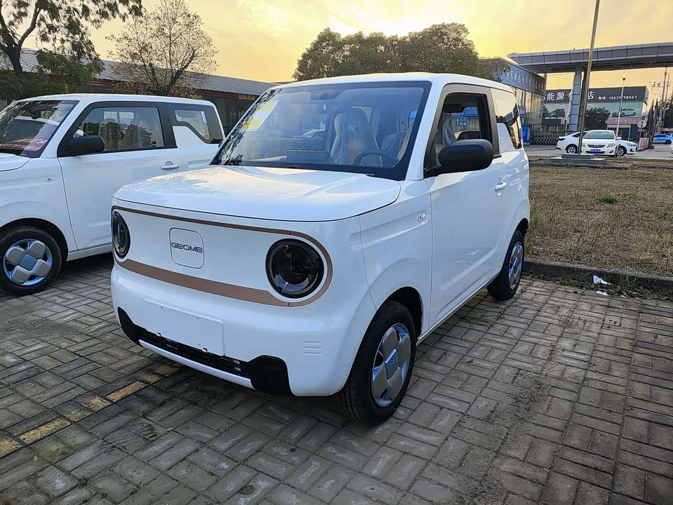 Geely Galaxy panda