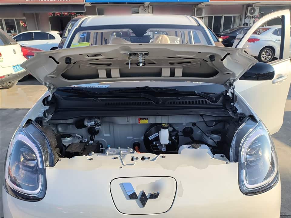 Wuling Hongguang MINIEV