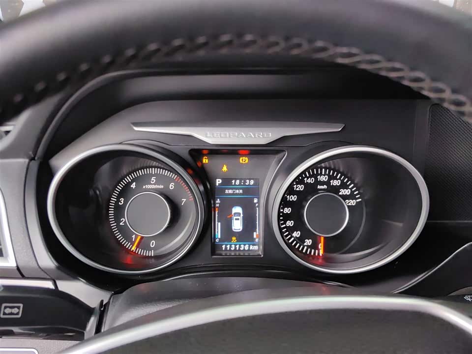 Leopaard Cheetah CS10