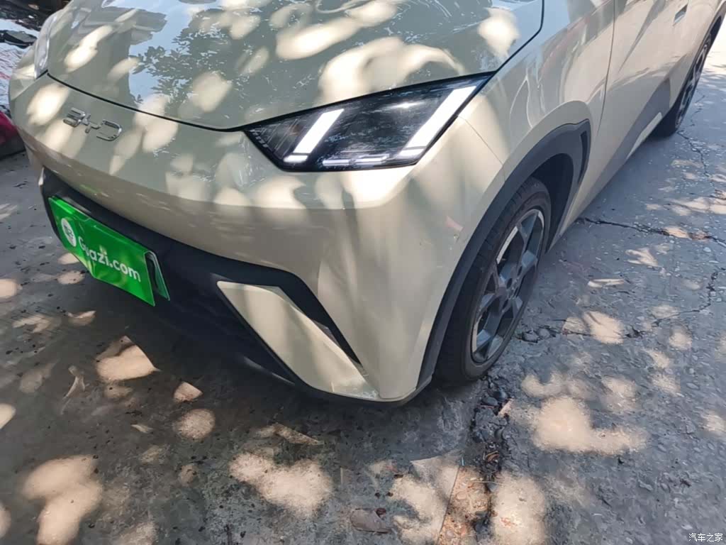 BYD Seagull, 2024 24