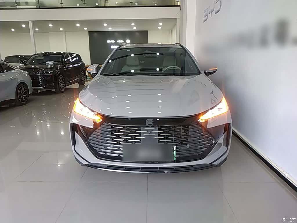 BYD Tang, 2024 3