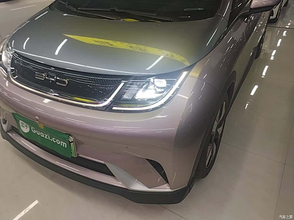 BYD Dolphin, 2022 24