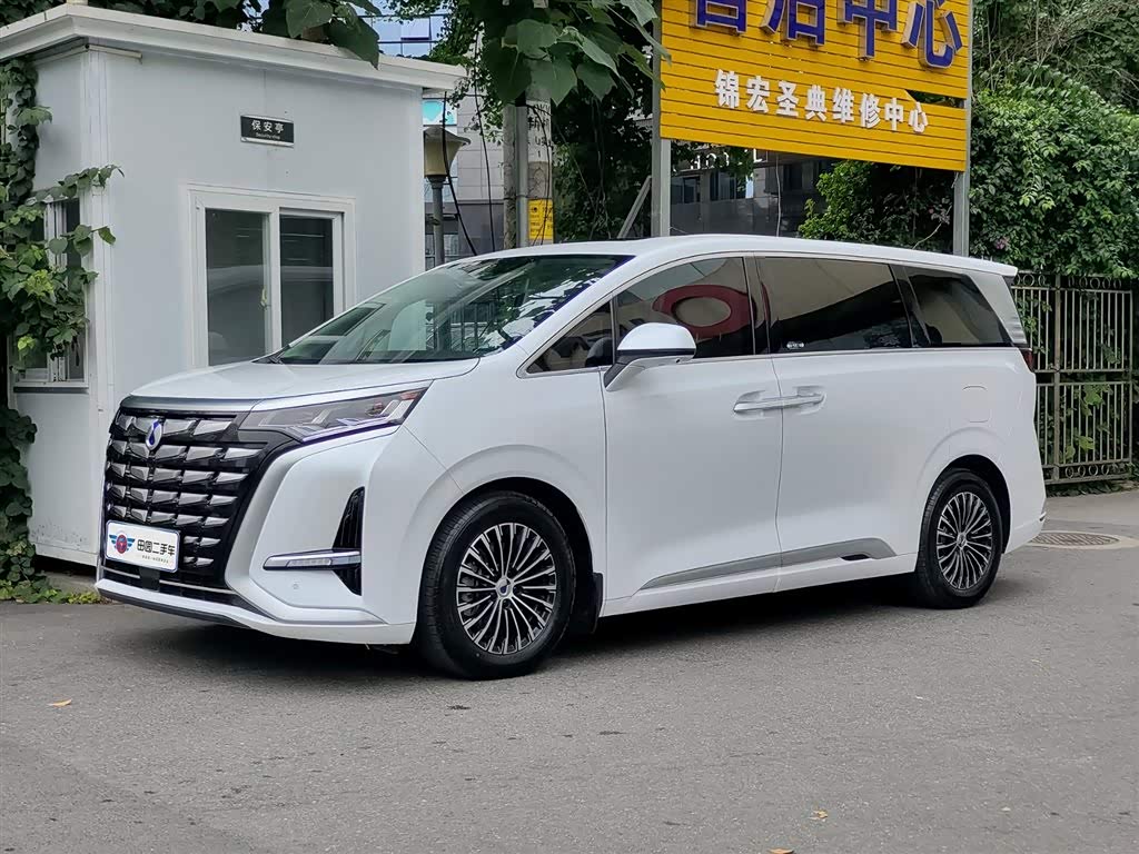 Denza D9