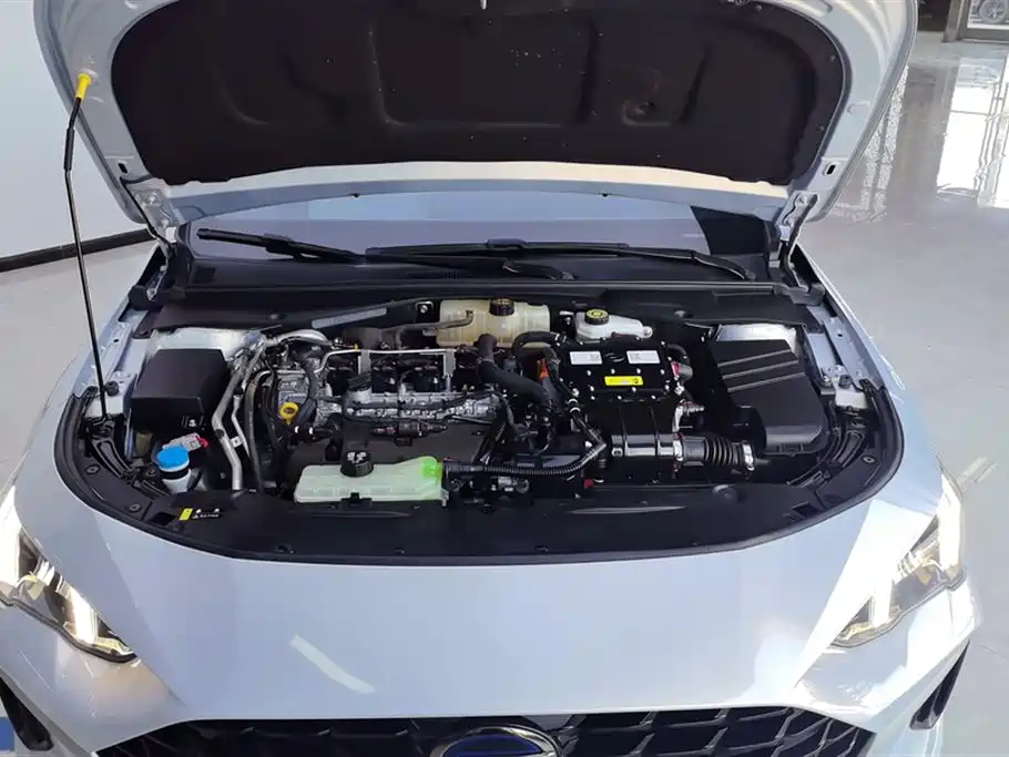 Trumpchi Shadow Leopard