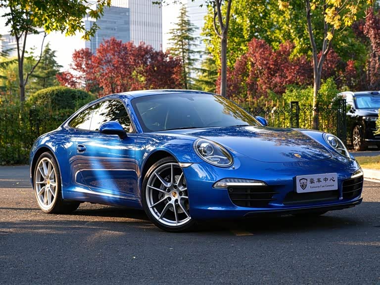 Porsche 911 2014, фото 4