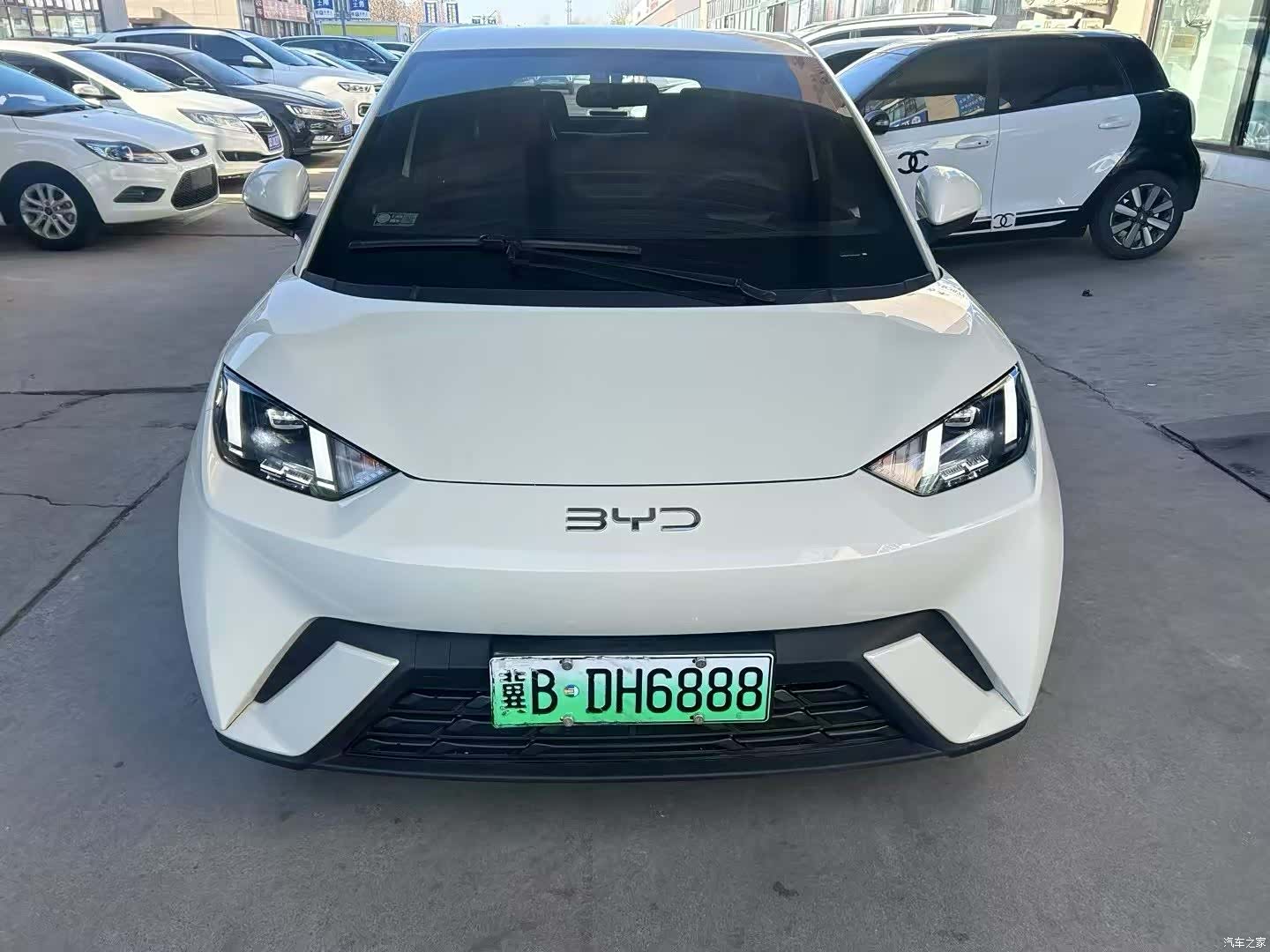 BYD Seagull, 2024 2
