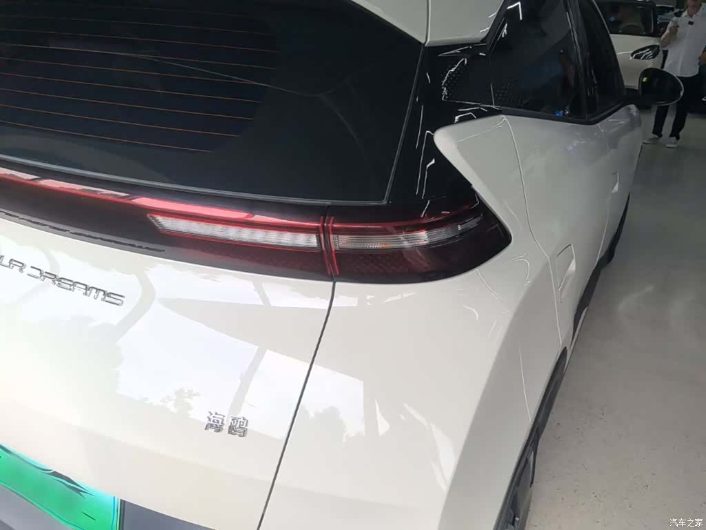 BYD Seagull, 2024 8