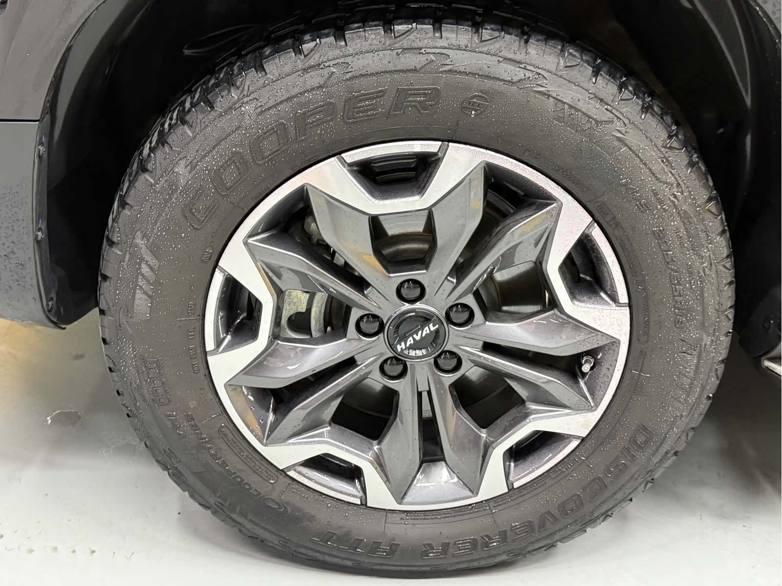 Haval Big Dog, 2023 26