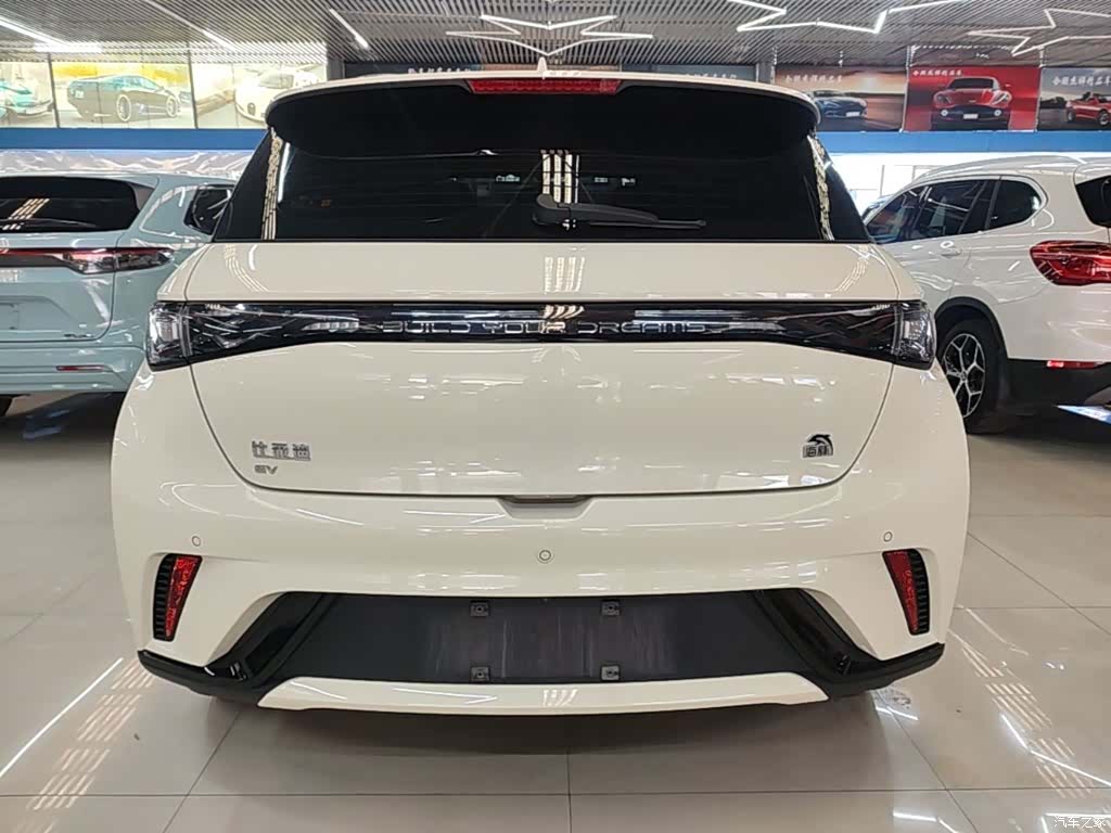 BYD Dolphin, 2024 4