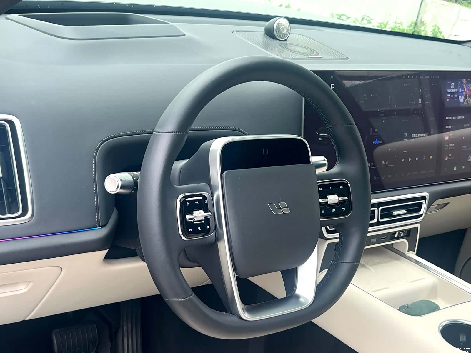 Li Auto L9, 2022 18