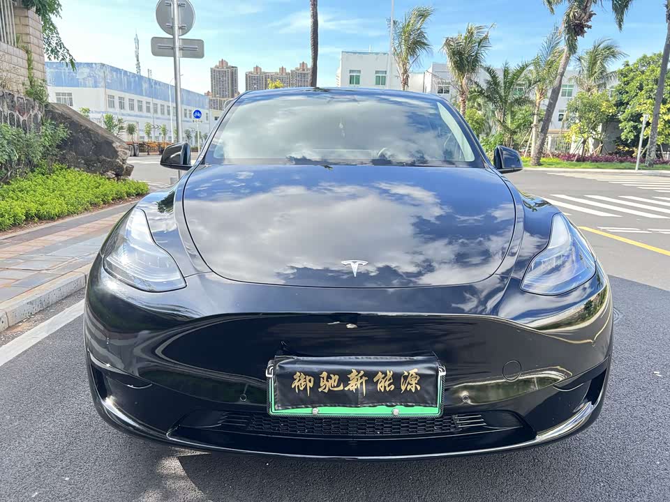 Tesla Model Y Tesla Model Y