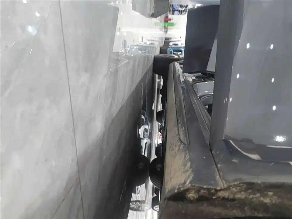 Trumpchi Shadow Leopard