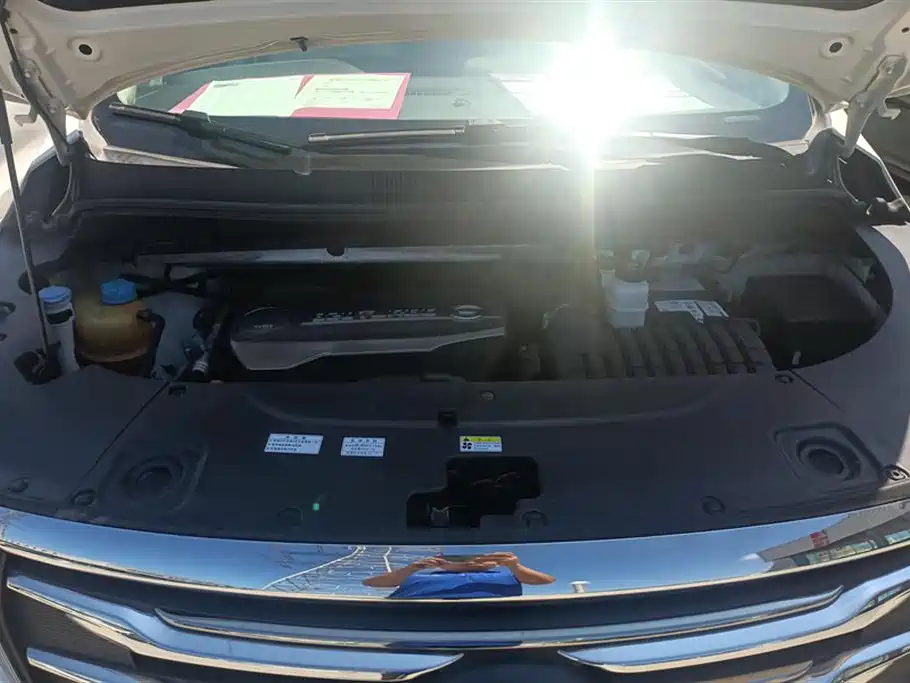 Trumpchi Trumpchi M8