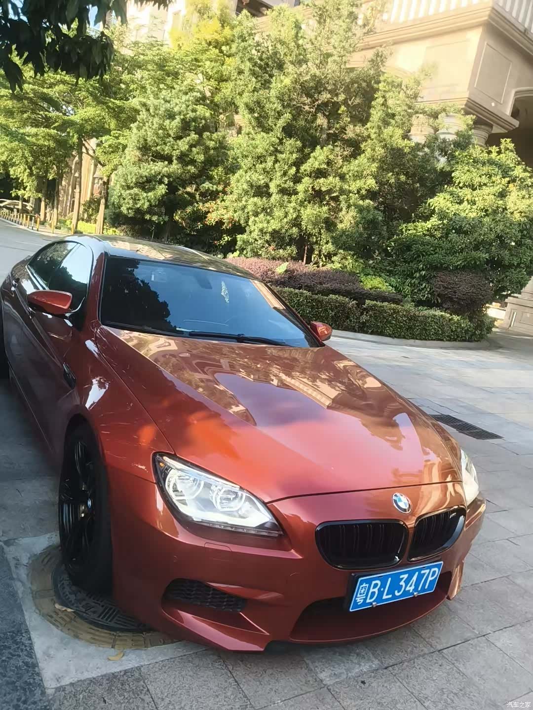 BMW M6, 2016 3