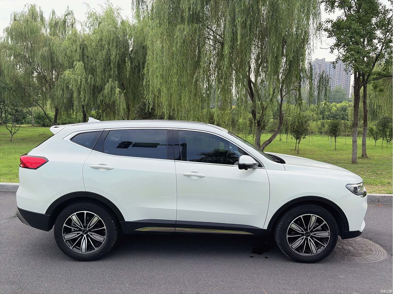 Haval H6, 2023 все фото