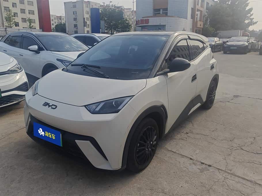 BYD Seagull