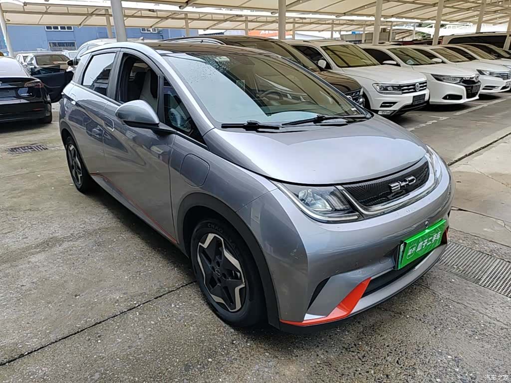 BYD Dolphin, 2022 4