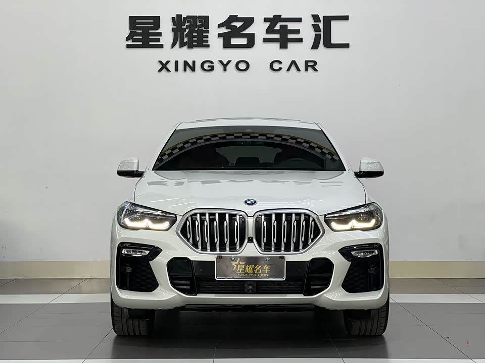 BMW X6