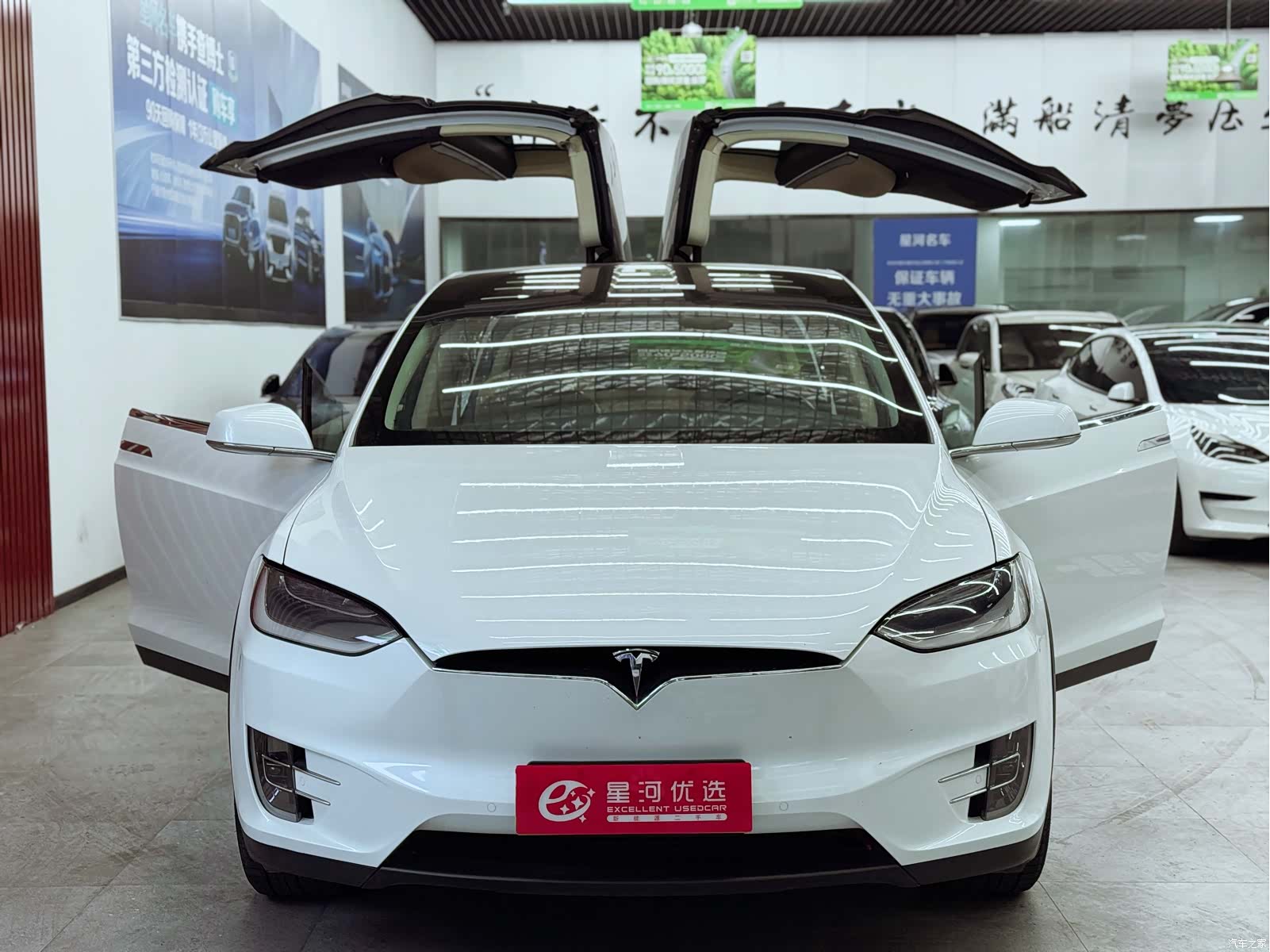 Tesla Model X, 2017 9