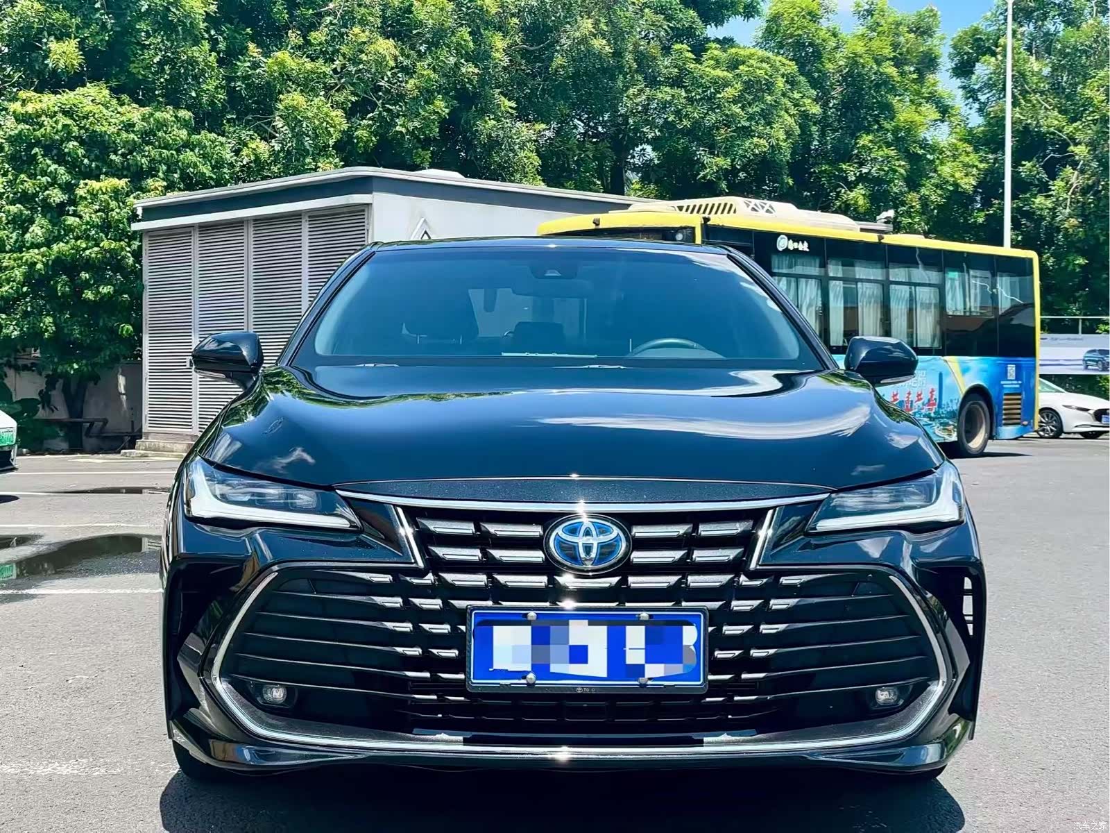 Toyota Avalon, 2023 2