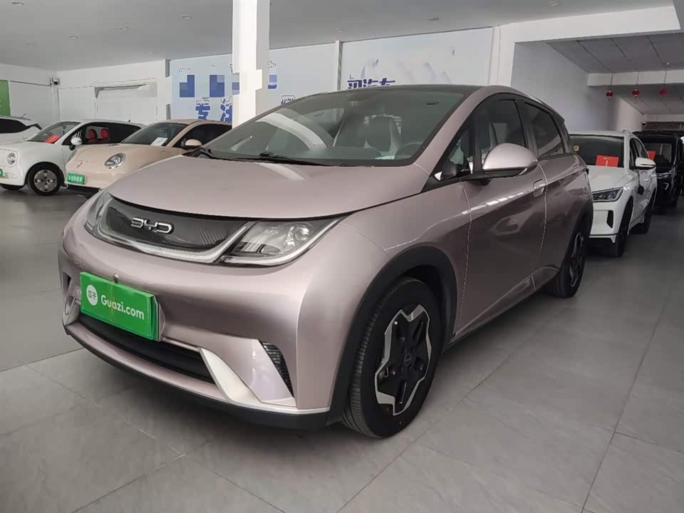 BYD dolphin