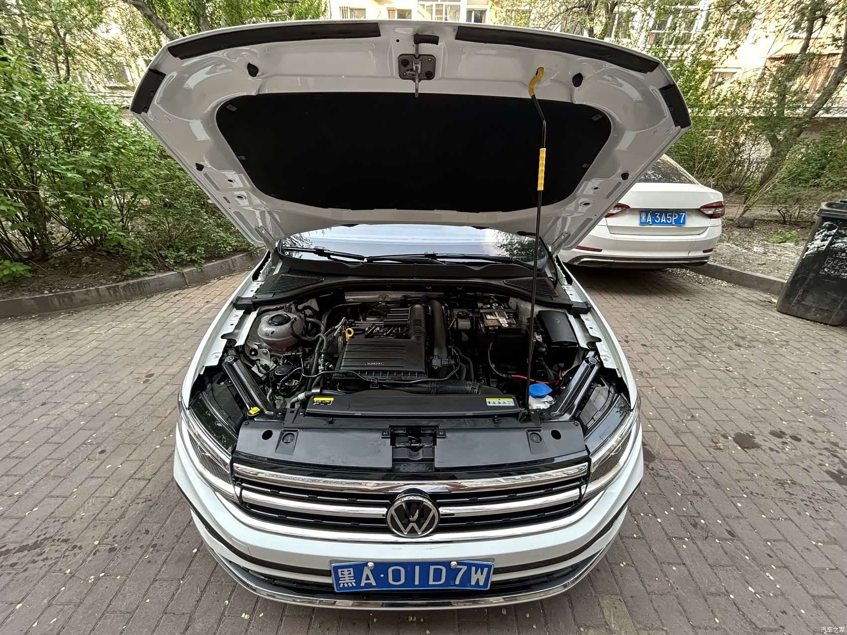 Volkswagen Bora, 2023 6