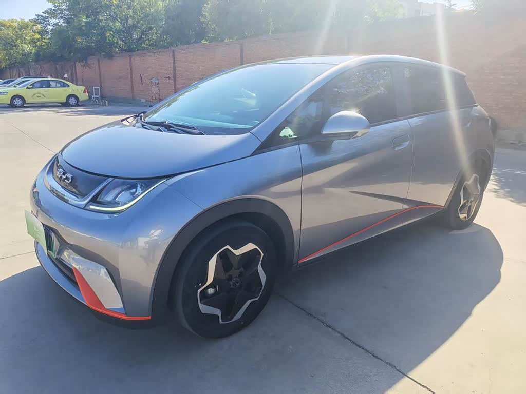 BYD Dolphin 2021 405km Fashion