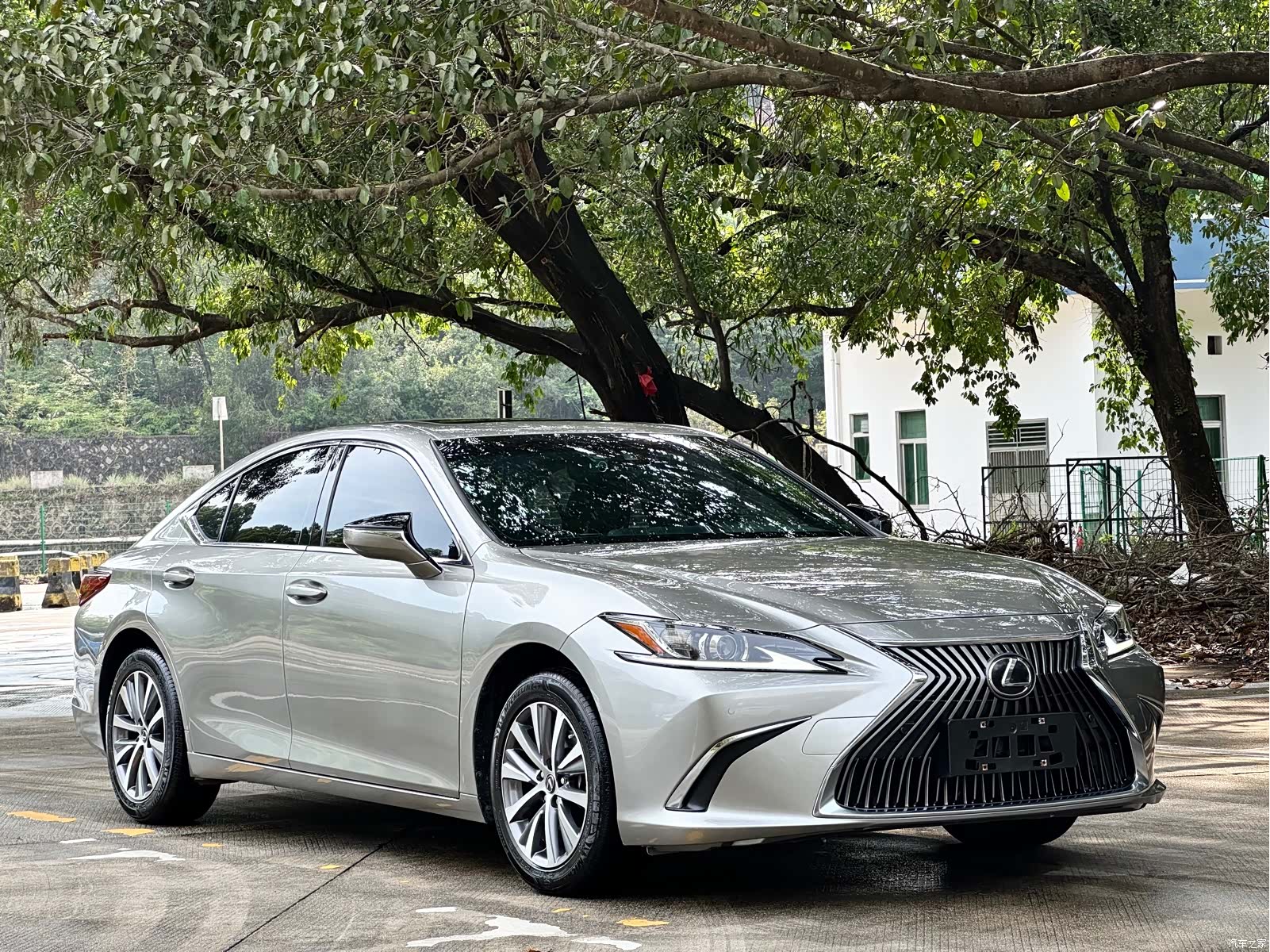Lexus ES, 2021 2
