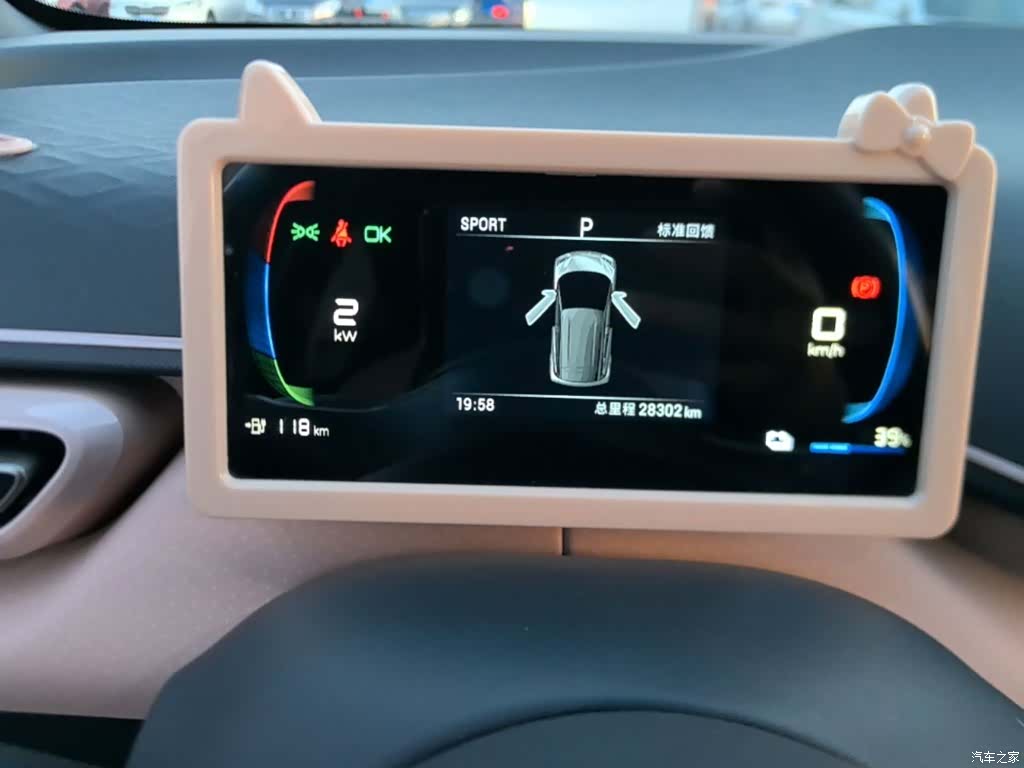 BYD Seagull, 2024 12