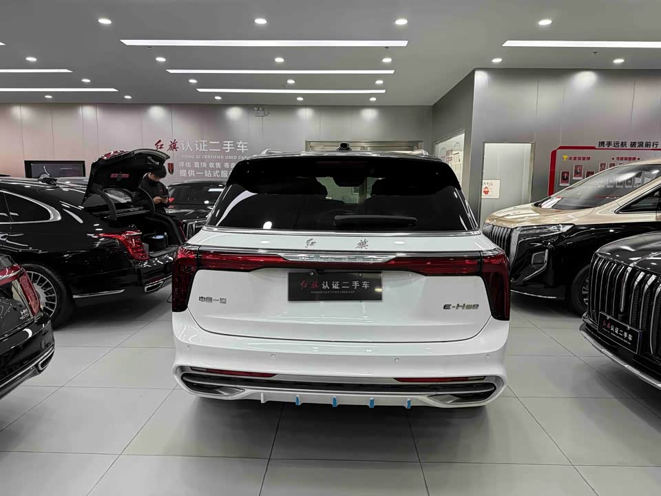 Hongqi E-HS9