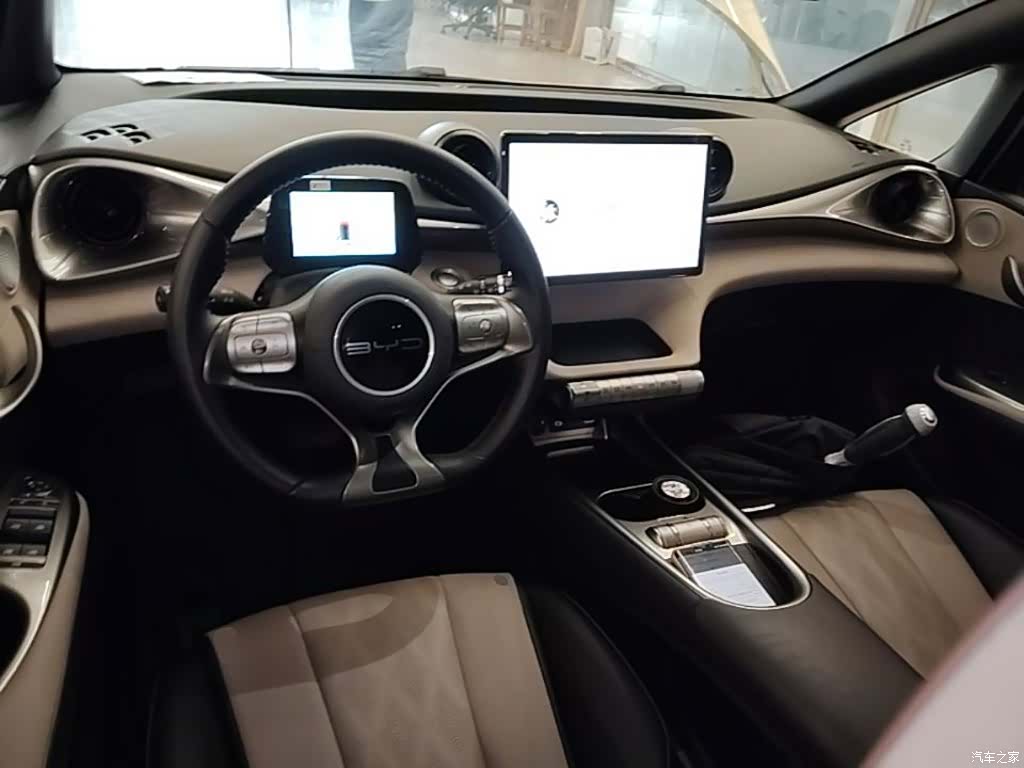BYD Dolphin, 2024 10