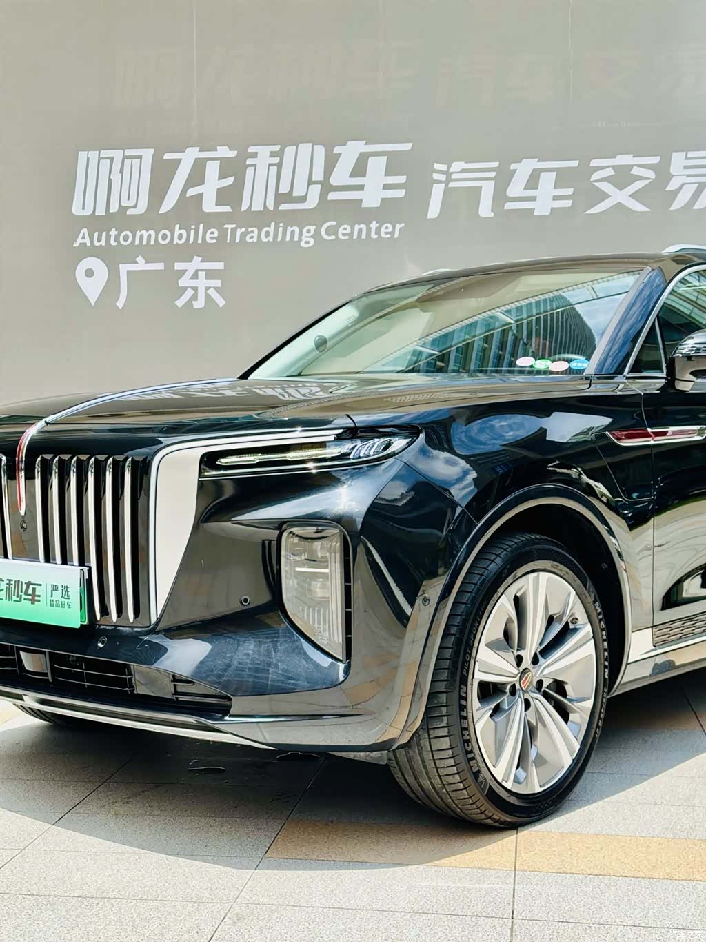 Hongqi E-HS9, 2023 18
