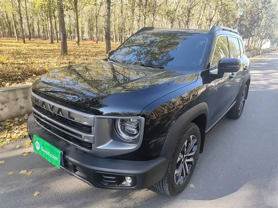 Haval Big dog