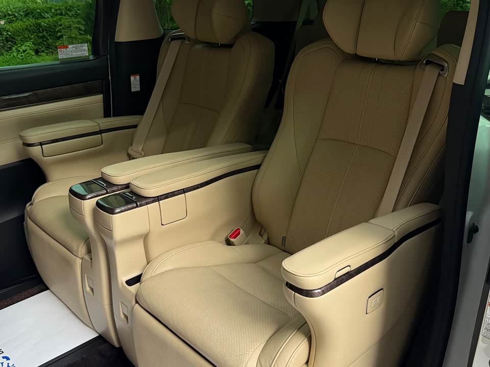 Toyota Elfa