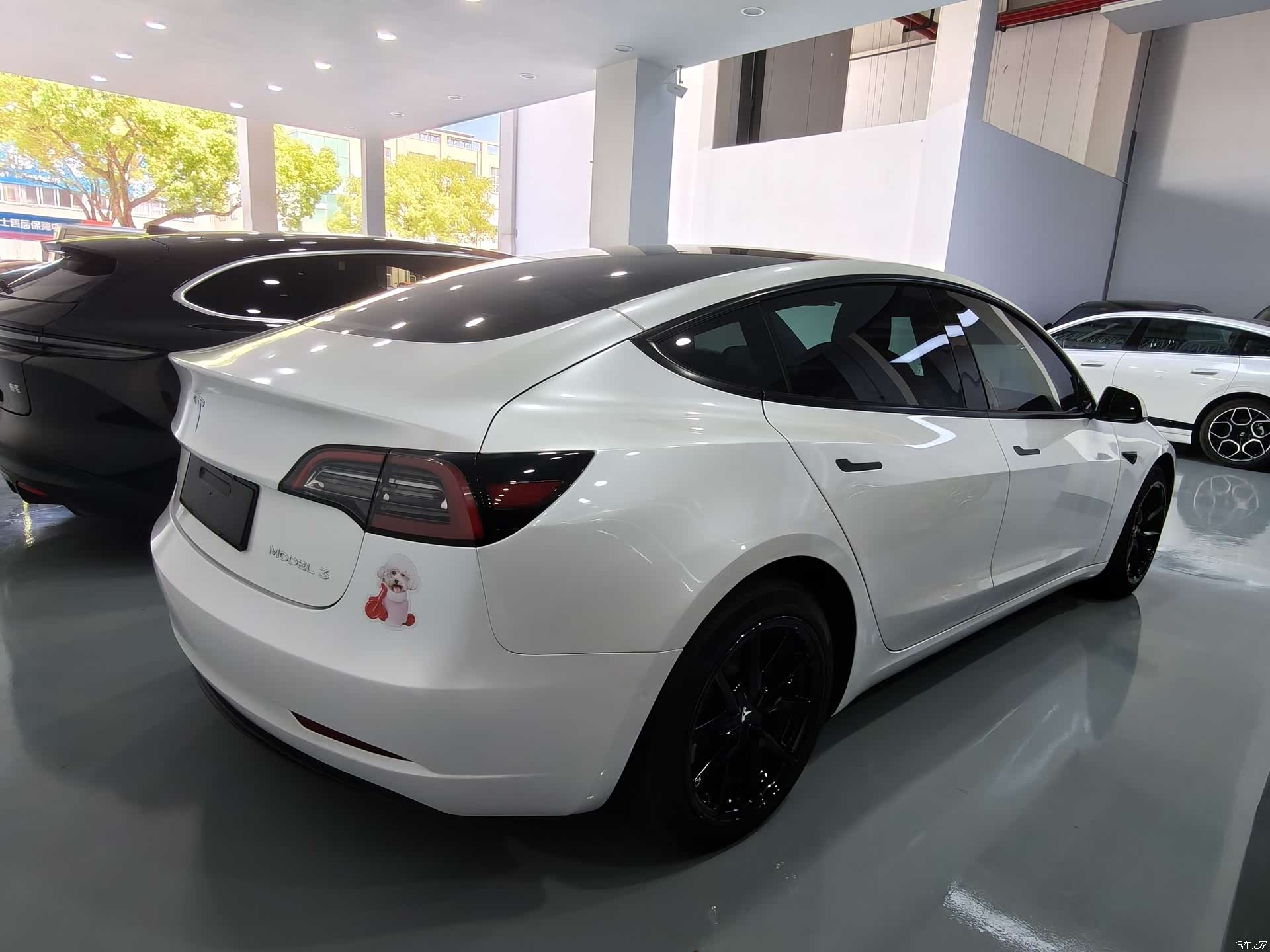 Tesla Model 3, 2023 15