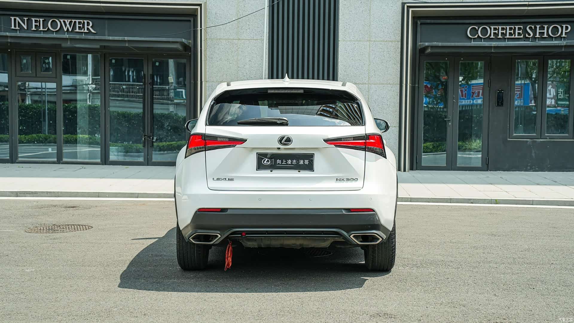 Lexus NX, 2018 все фото