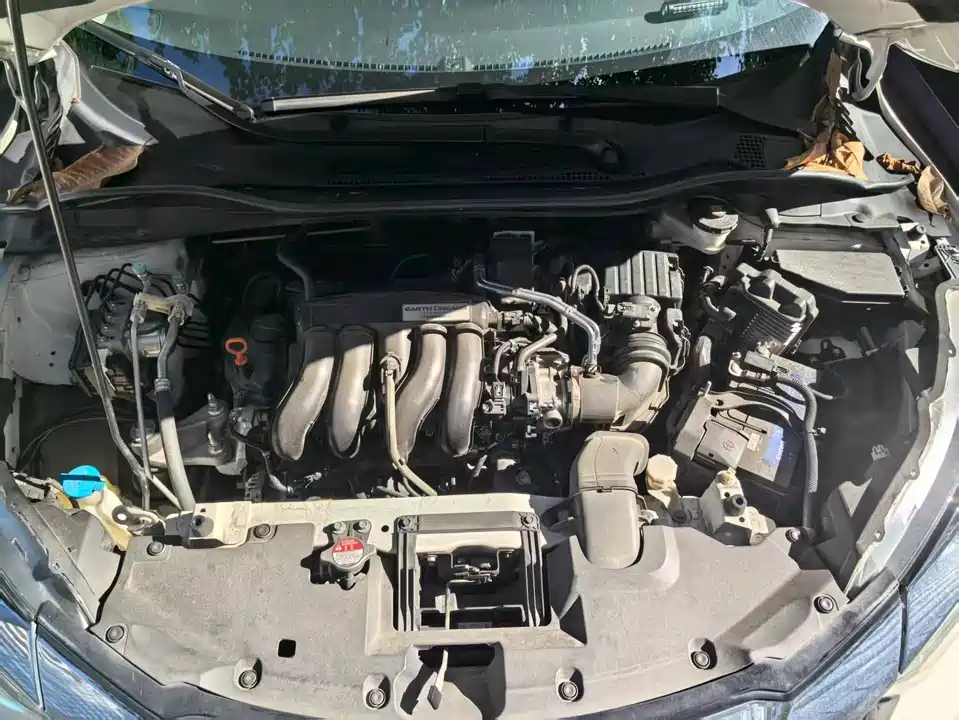 Honda Binzhi Honda Binzhi