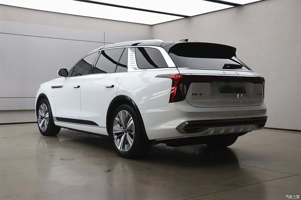 Hongqi E-HS9, 2023 34