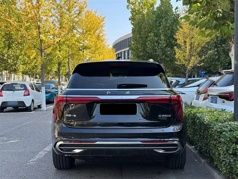 Hongqi E-HS9