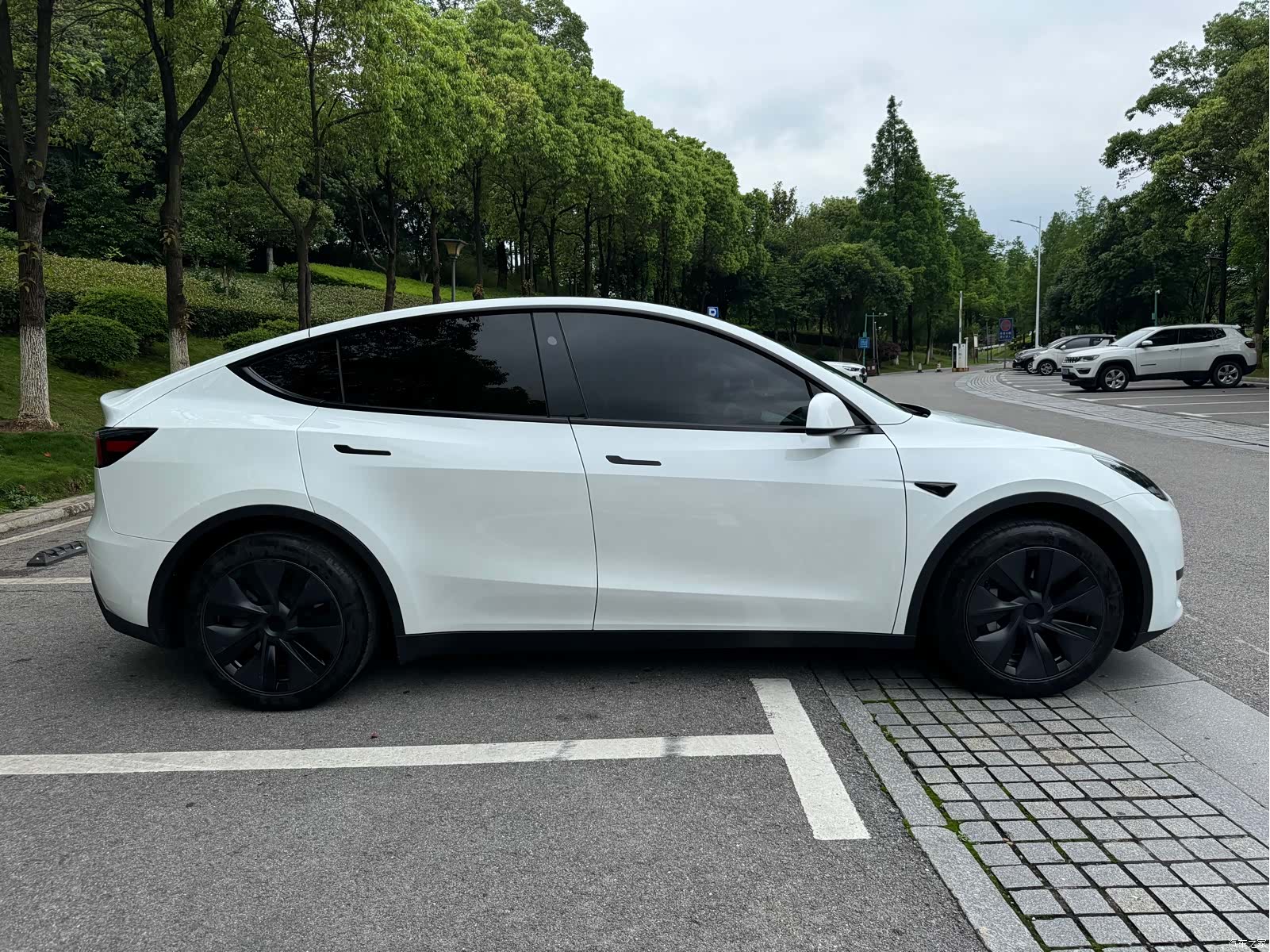 Tesla Model Y, 2024 все фото