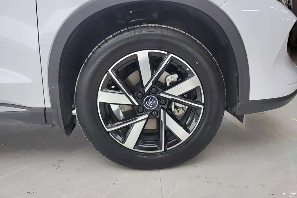 BYD Song, 2024 6