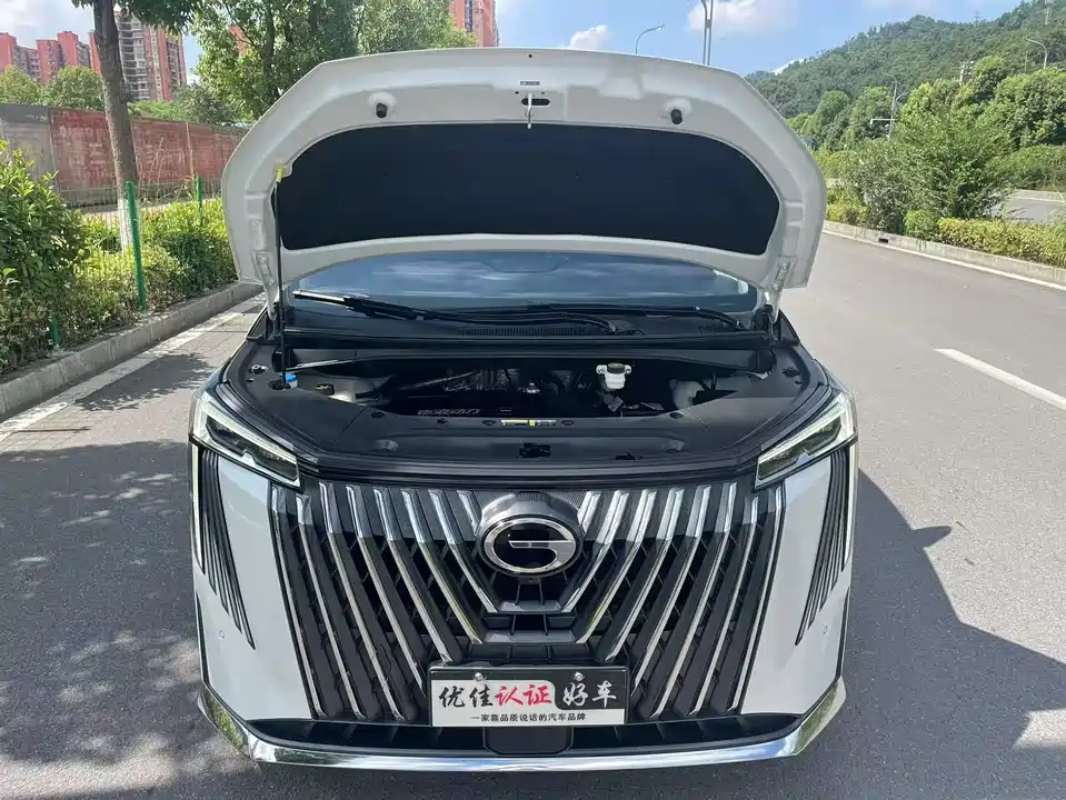 Trumpchi Trumpchi M8