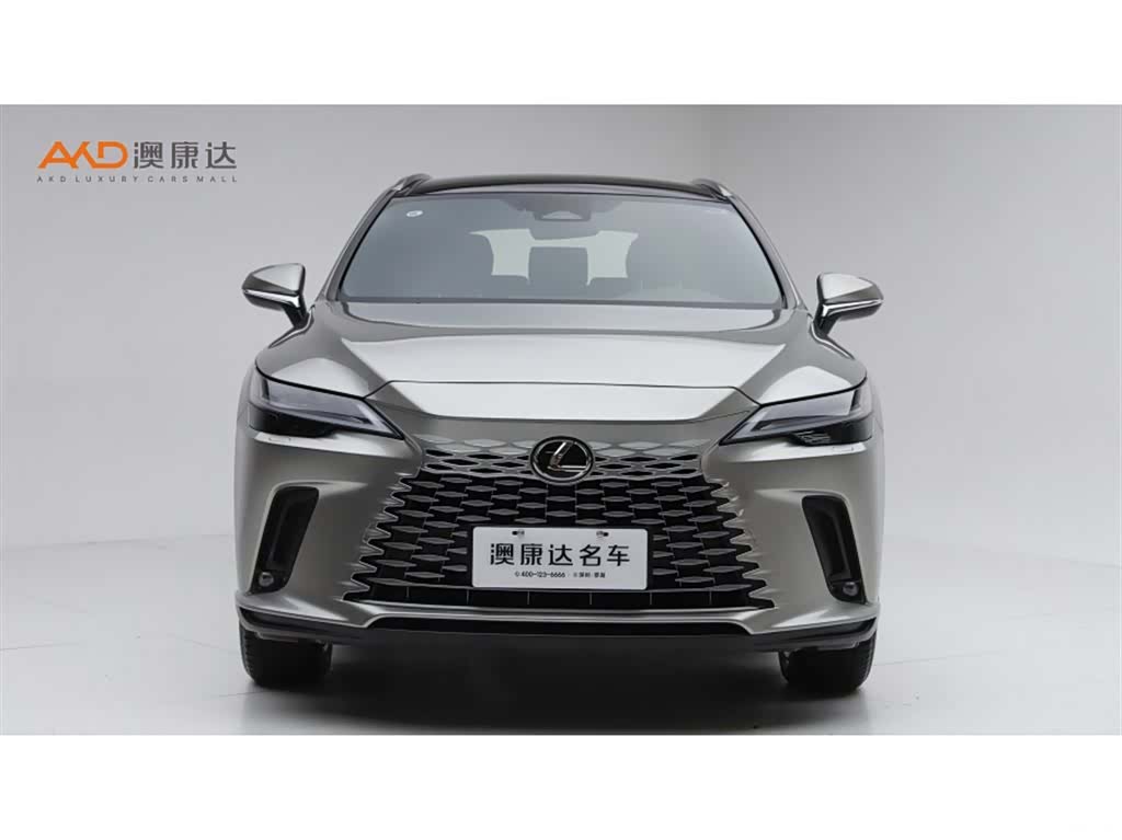 Lexus RX, 2023 2
